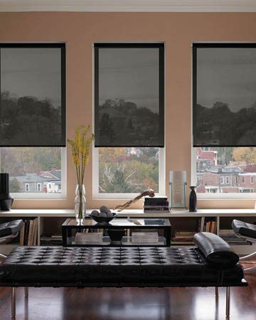 Lunar Black Roller Blinds