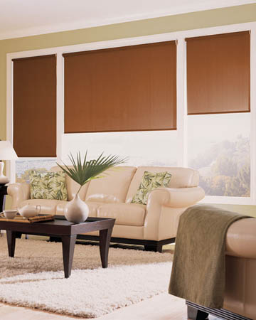 Plain Mocha Roller Blinds