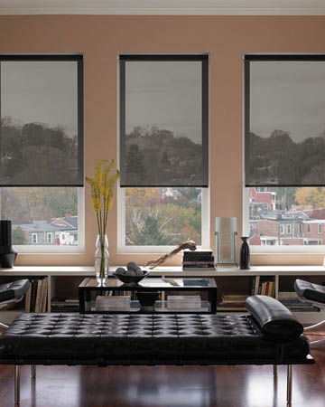 Solaris White Charcoal Roller Blinds