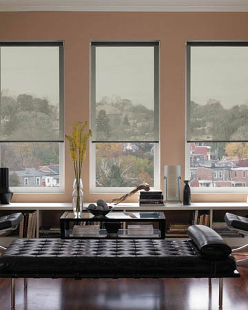 Solaris White Grey Roller Blinds